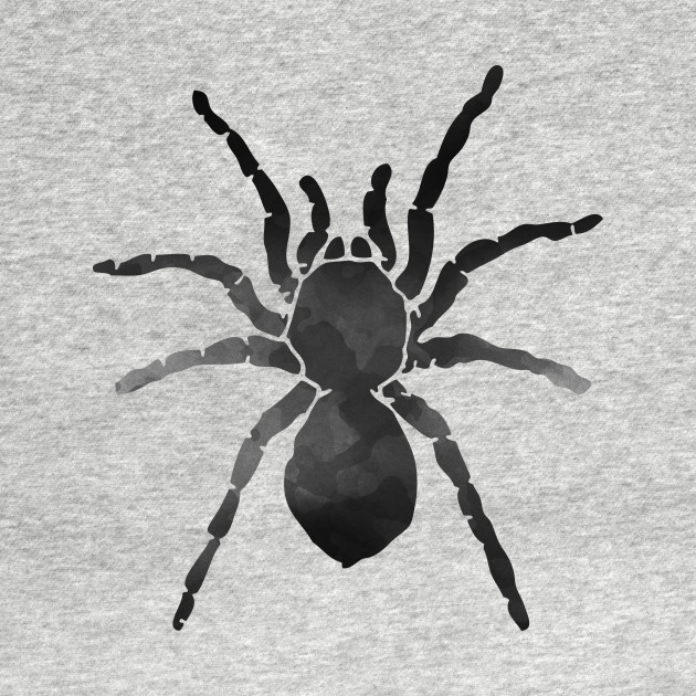 630x630 Watercolor Spider - Watercolor Spider