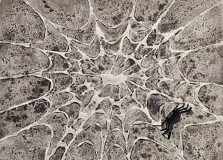 320x229 Sparkly Spider Web - Watercolor Spider Web