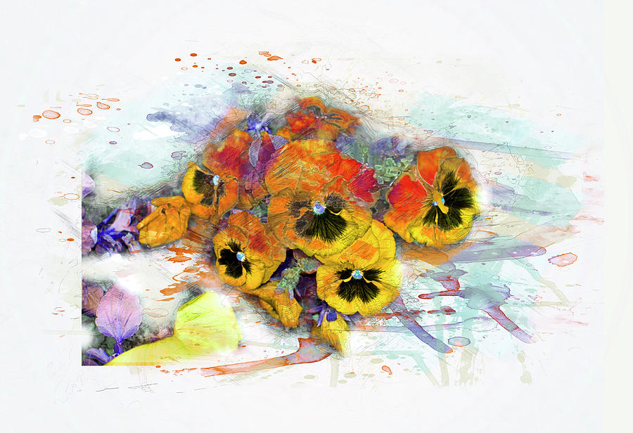 900x616 Pansy Flowers, Watercolor, Splash Digital Art By Gabriele Huller - Watercolor Splash Art