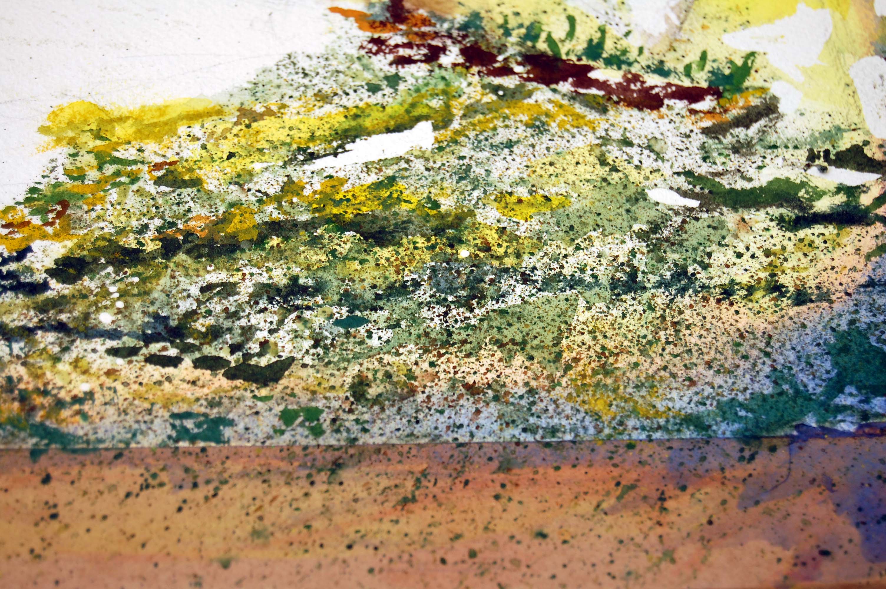 3008x2000 Watercolor Technique Books - Watercolor Splatter Technique