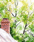 143x175 More Watercolor Painting Techniques And Effects - Watercolor Sponge