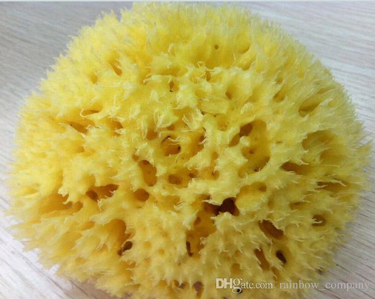 744x593 New Natural Sponge Natural Silk Make - Watercolor Sponge