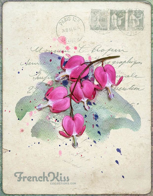 620x795 Watercolor Spot. When To Use Watercolor Spot Textures Or Brushes - Watercolor Spot