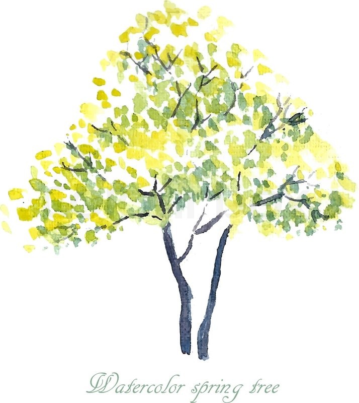 714x800 Spring Tree. Spring Background. Watercolor Illustration. Stock - Watercolor Spring