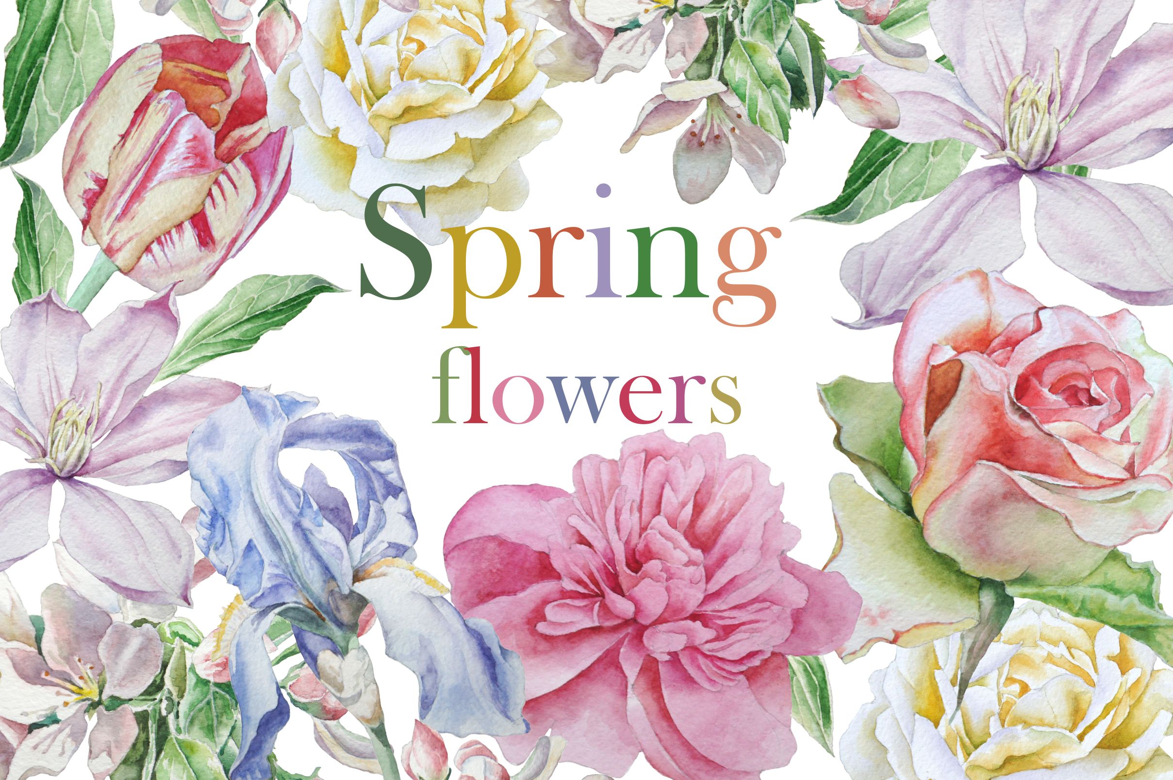 2417x1609 Spring Flowers. Watercolor. By Rednex On @creativemarket Klipart - Watercolor Spring Flowers