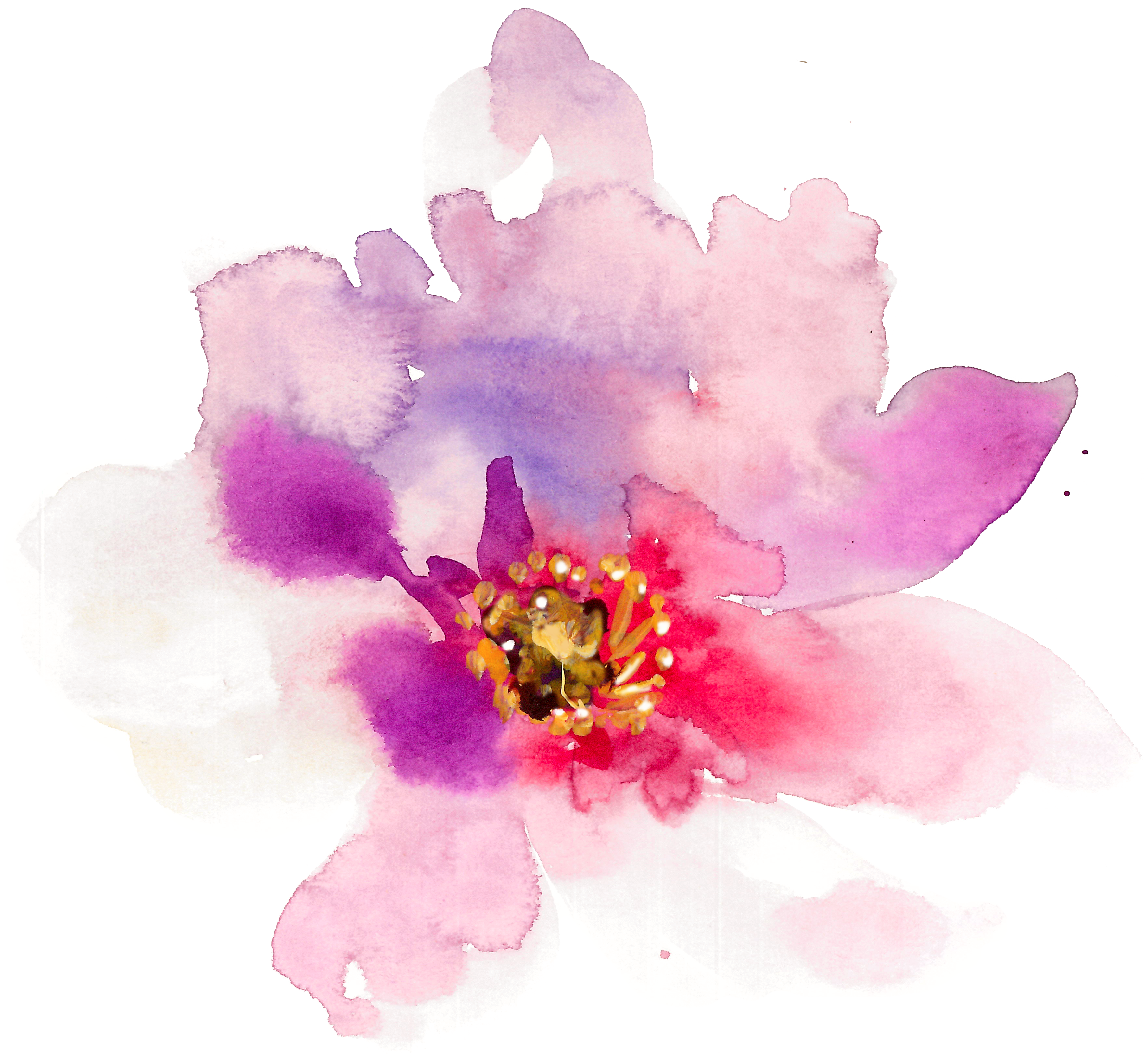 3534x3246 Floral Design Watercolor Painting - Watercolor Spring Flowers