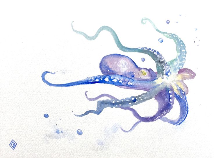 736x546 De 258 Fern Original Art - Watercolor Squid