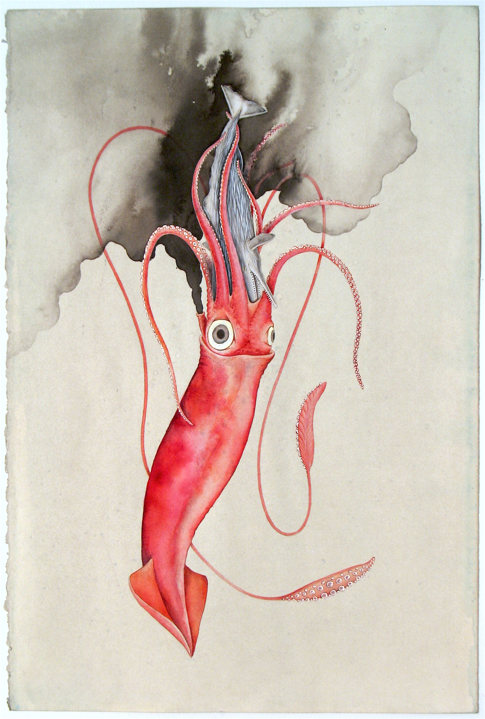 1000x1483 G. Gibson Gallery Gibbens Thesquidandthewhale - Watercolor Squid