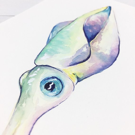570x570 Original Animal Artists Collective Colorful Squid Etsy - Watercolor Squid
