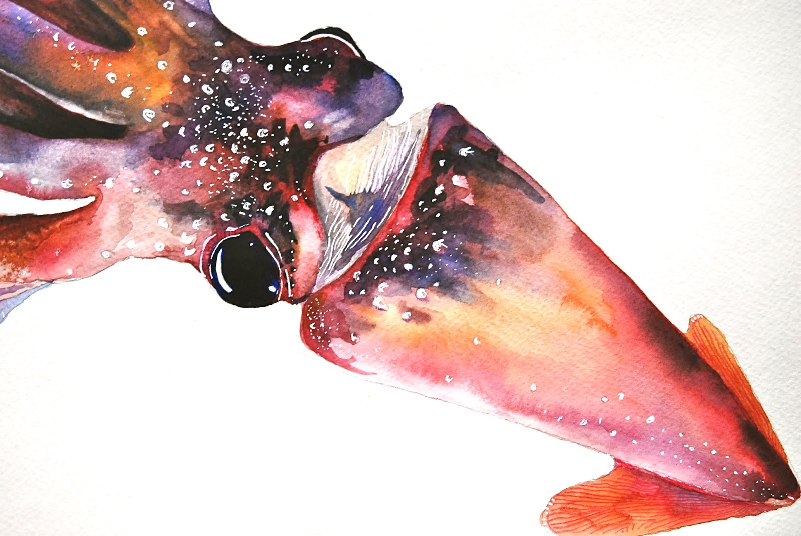 1600x1071 Painting In Trees Squid An Update - Watercolor Squid