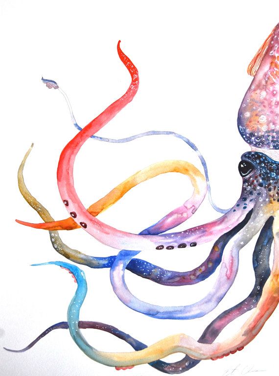 570x768 Watercolor Painting, Original Painting, Squid Painting, 18x24 - Watercolor Squid