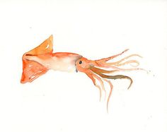 236x187 Blue Spotted Octopus - Watercolor Squid