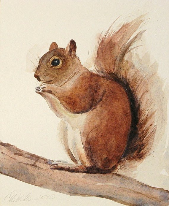570x694 Red Squirrel Print Nature Art Watercolors Archival Print Etsy - Watercolor Squirrel