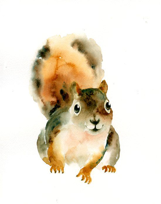 549x694 Squirrel Original Watercolor Painting 8x10inch By Dimdi On Etsy - Watercolor Squirrel