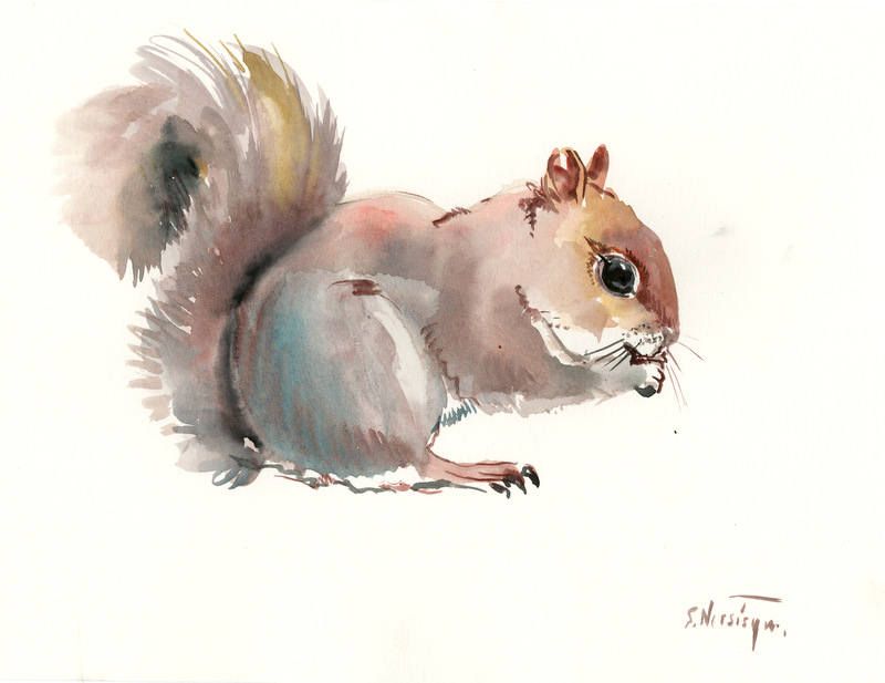 800x617 Squirrel, Original Watercolor Painting 12 X 9, Children Room - Watercolor Squirrel