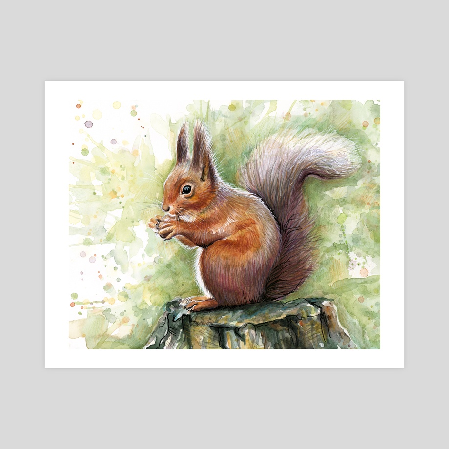 920x920 Squirrel Watercolor, An Art Print By Olga Shvartsur - Watercolor Squirrel