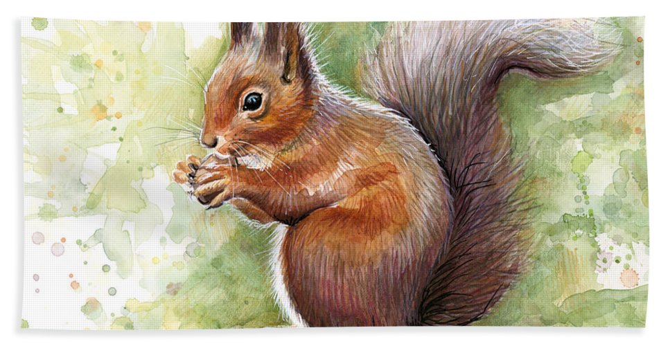 967x500 Squirrel Watercolor Art Beach Towel For Sale By Olga Shvartsur - Watercolor Squirrel