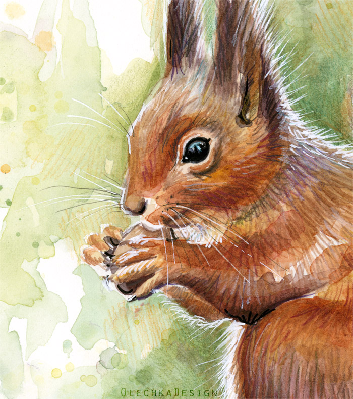 700x790 Squirrel Watercolor Olechka Design - Watercolor Squirrel