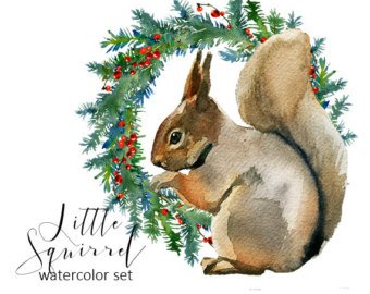 340x270 Squirrel Watercolor Etsy - Watercolor Squirrel