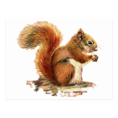 400x400 Watercolor Red Squirrel, Funny Quote Postcard - Watercolor Squirrel