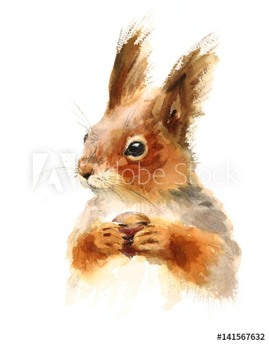 392x500 Watercolor Squirrel Holding A Nut - Watercolor Squirrel
