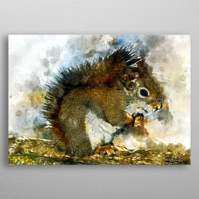 640x640 Watercolor Squirrel By Christian K Metal Posters - Watercolor Squirrel