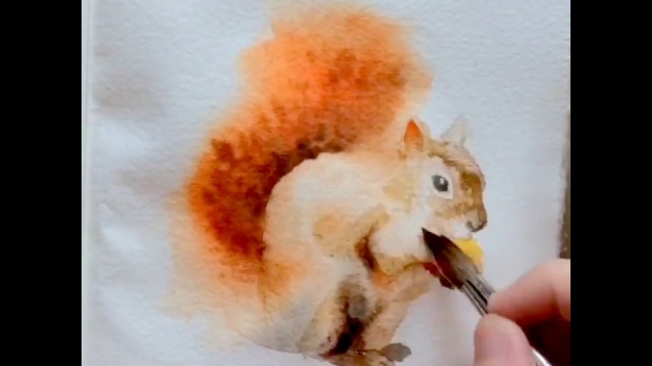 1280x720 Watercolor Speed Painting. Squirrel - Watercolor Squirrel