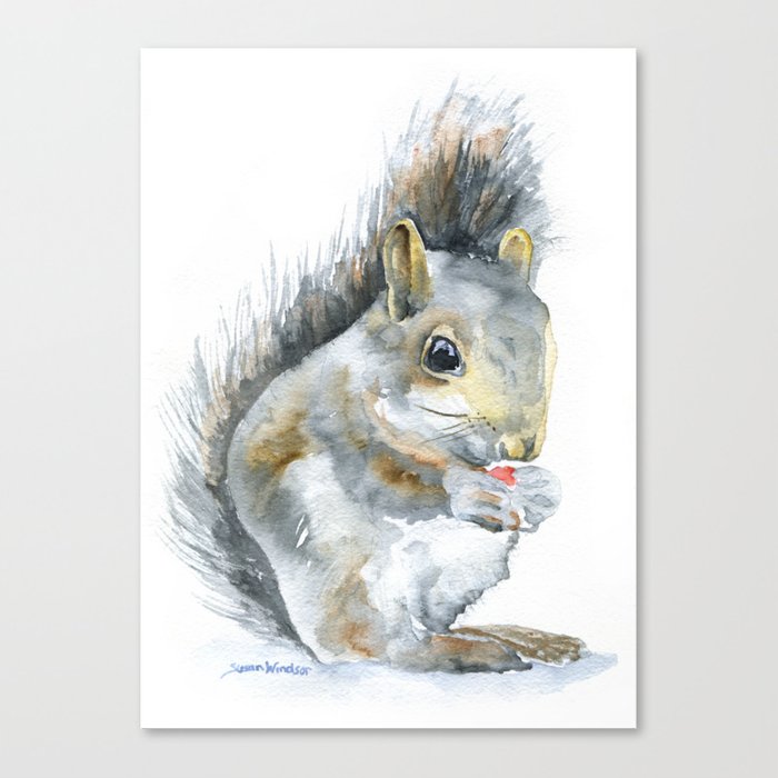 700x700 Gray Squirrel Watercolor Painting Canvas Print By Susanwindsor - Watercolor Squirrel