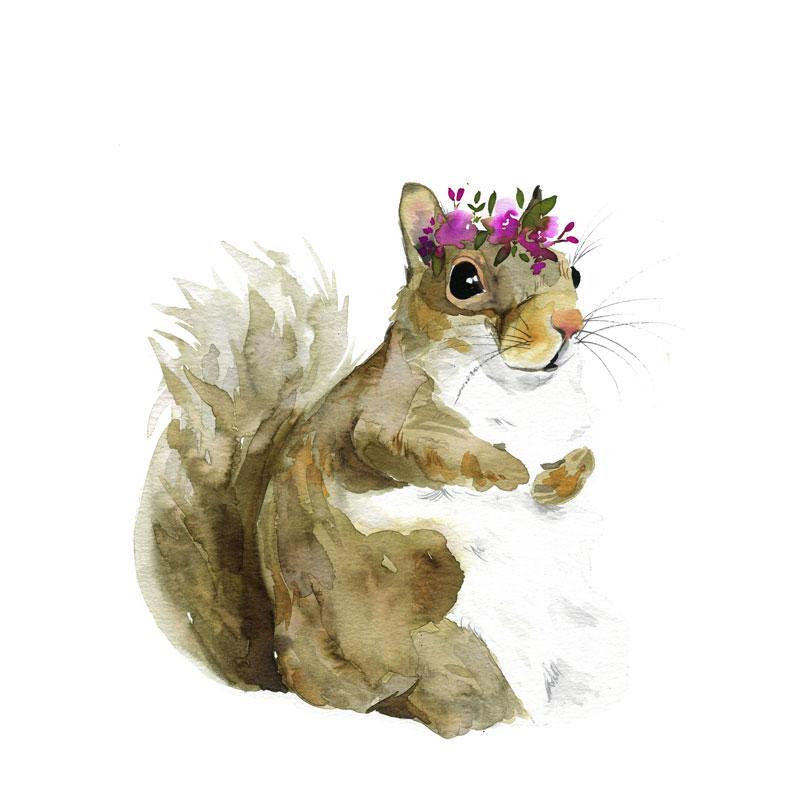 800x800 Jill The Squirrel Watercolor Paint Kit - Watercolor Squirrel