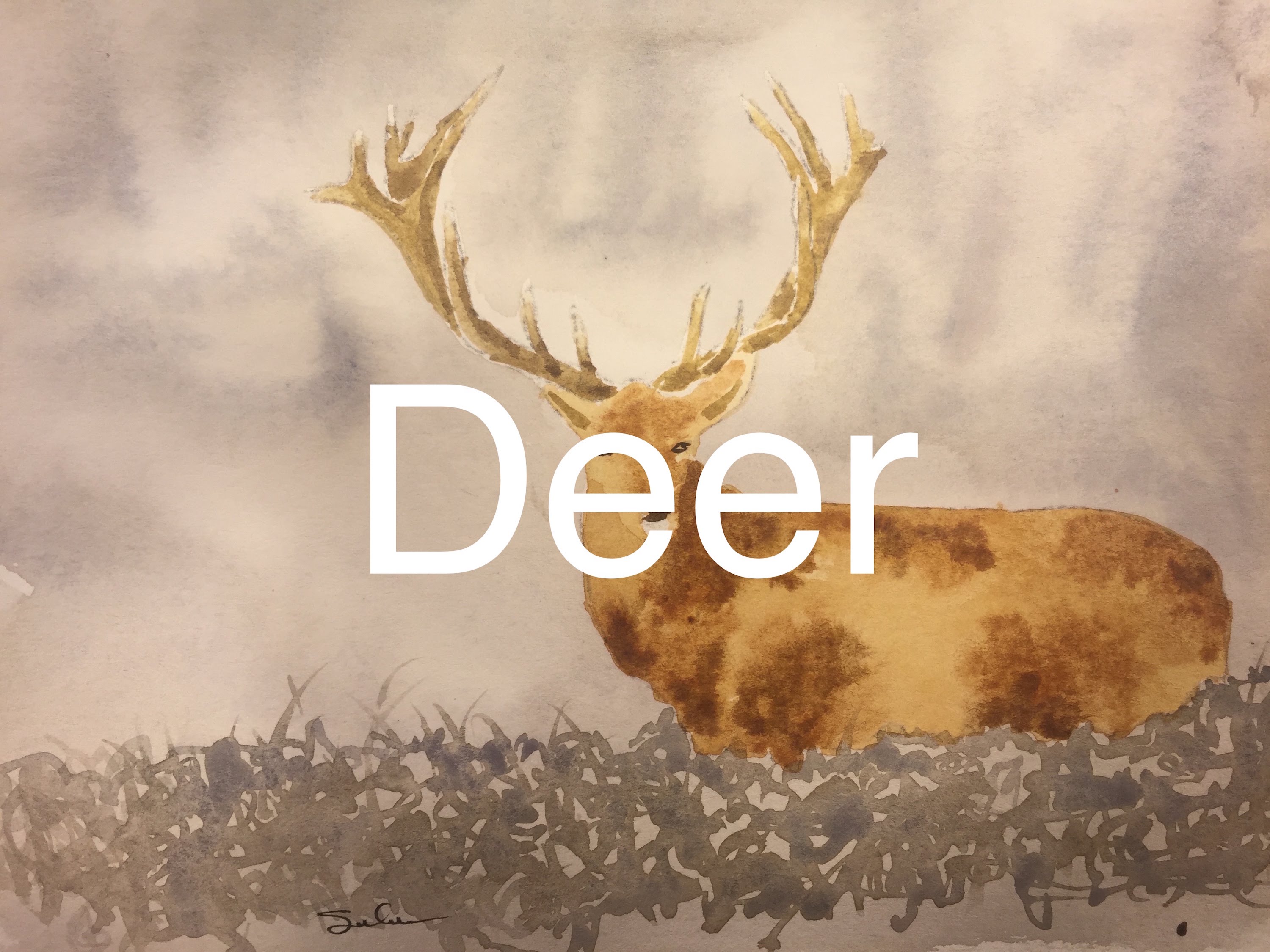3000x2250 How To Paint A Deer In Watercolour Watercolor Tutorial Buck Horns - Watercolor Stag