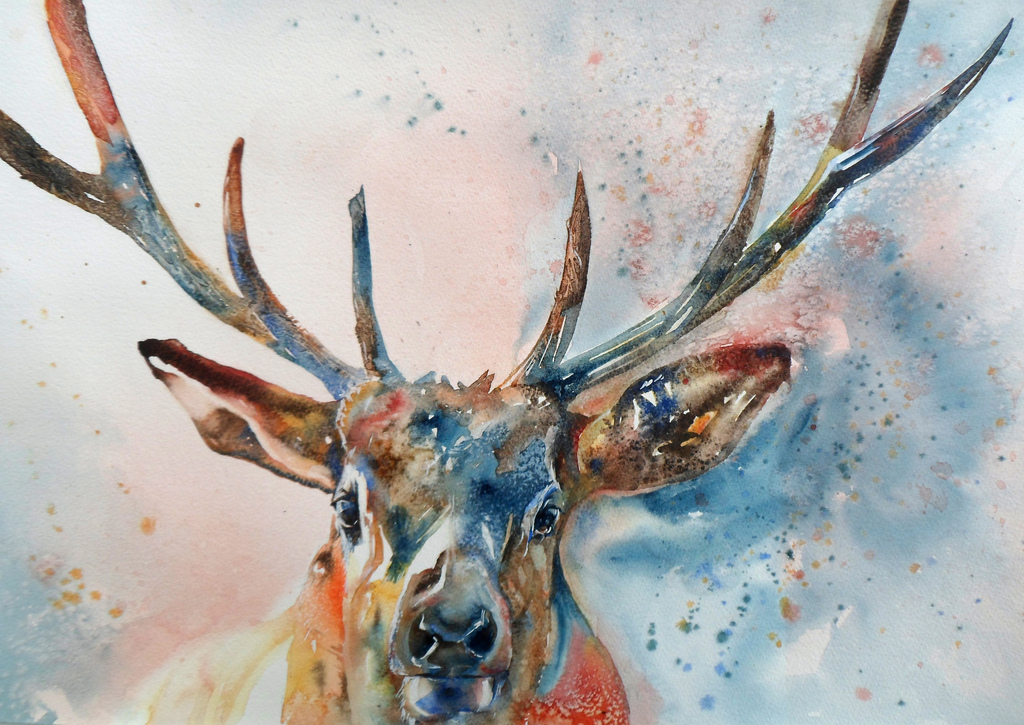 1024x725 Stag Watercolour On Paper 30x40cm. I Imagined Him - Watercolor Stag