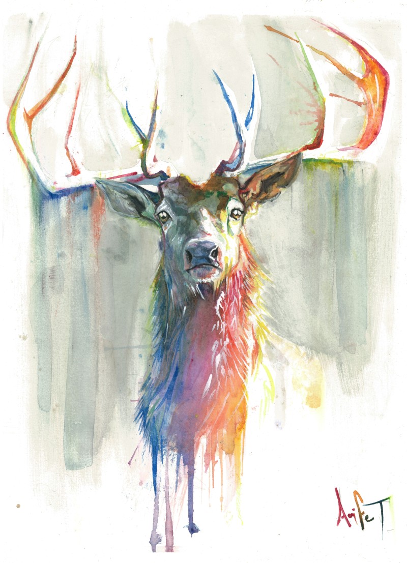 800x1107 Stag Head - Watercolor Stag