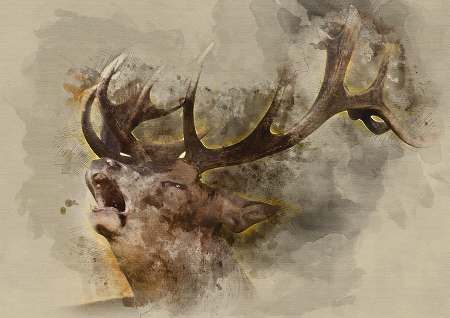 900x636 Stag Watercolor Portrait 1 By Diana Van Painting By Diana Van - Watercolor Stag