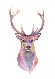 236x335 52 Best Stag Tattoos Images Deer, Beautiful Tattoos - Watercolor Stag