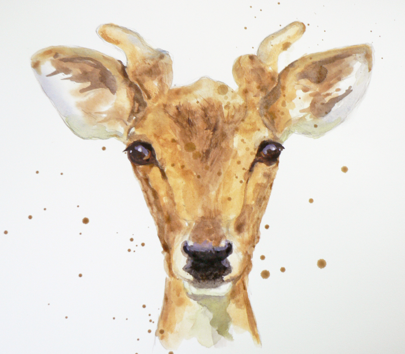 1390x1216 Art Demo Painting A Young Stag In Watercolour Part 2 Amp Final - Watercolor Stag