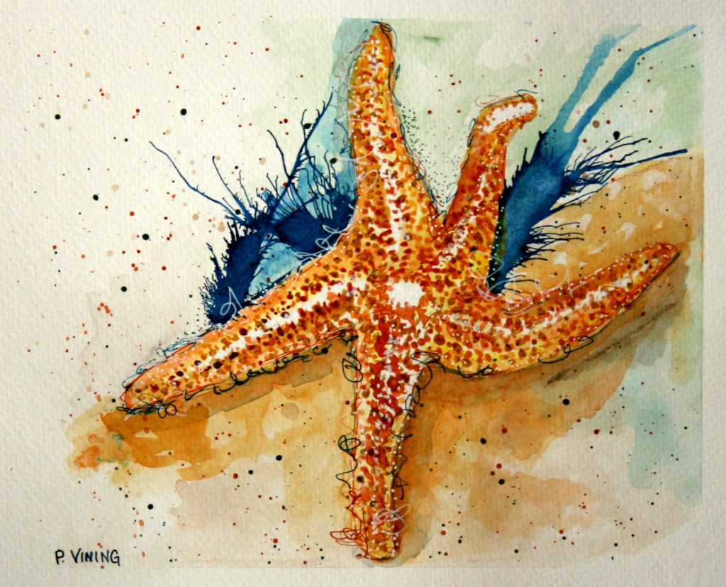 Watercolor Starfish at PaintingValley.com | Explore collection of ...