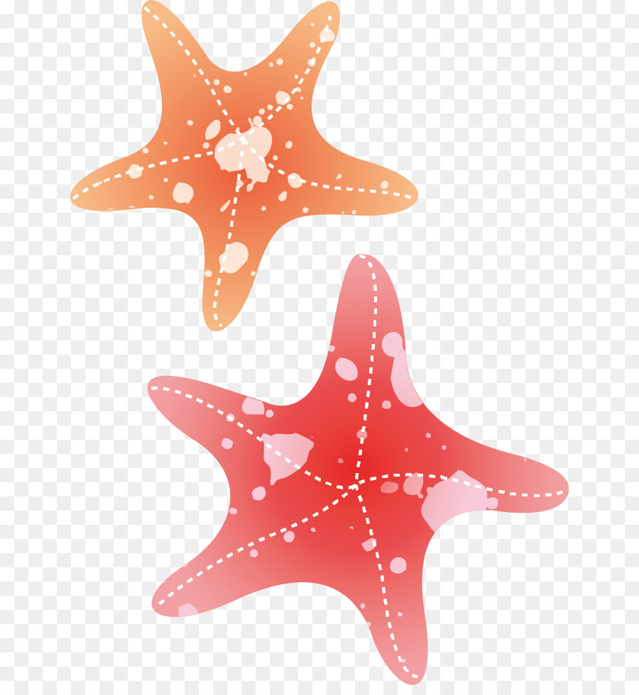 900x980 Starfish Drawing Watercolor Painting - Watercolor Starfish