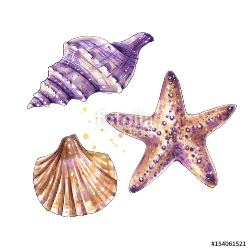 500x500 Aquatic Set, Sea Shells, Starfish. Watercolor Set Of Underwater - Watercolor Starfish