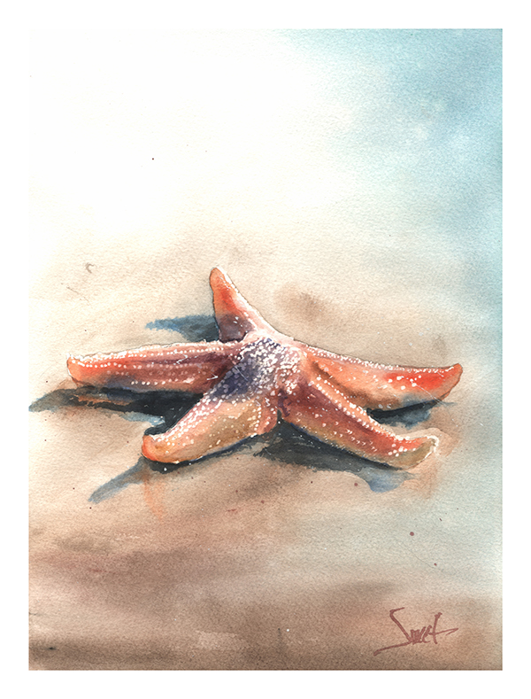 600x789 Starfish Watercolor Print Watercolor Animal Paintings - Watercolor Starfish