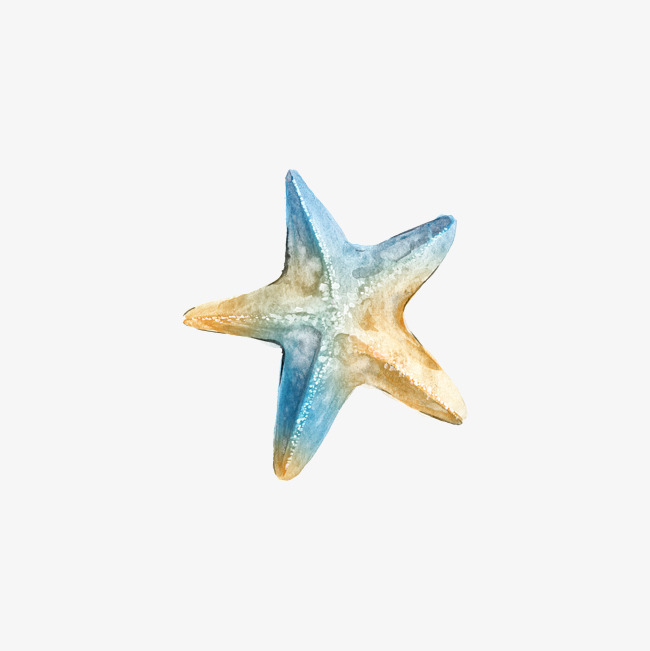 650x651 Watercolor Starfish, Watercolor Clipart, Starfish Clipart, Cartoon - Watercolor Starfish
