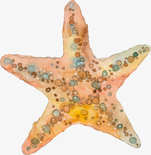 489x500 Watercolor Starfish, Watercolor Clipart, Starfish Clipart, Hand - Watercolor Starfish
