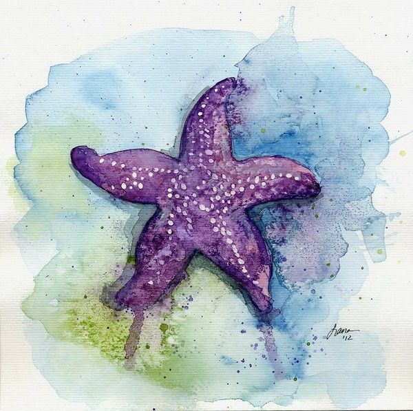 600x597 Image Result For Watercolor Starfish Akvarel In 2018 - Watercolor Starfish