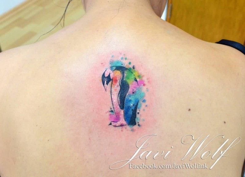 800x579 Great Idea Watercolor Penguin Tattoo On Upper Back - Watercolor Starfish Tattoo