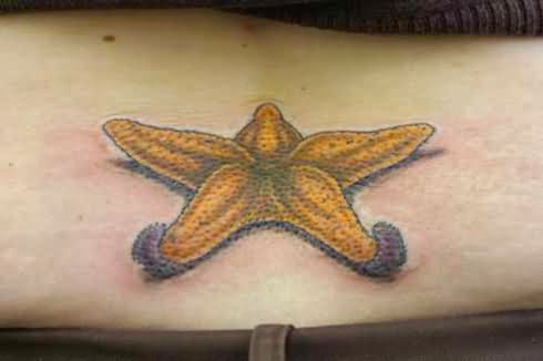 490x326 Beautiful Lowerback Starfish Tattoo - Watercolor Starfish Tattoo
