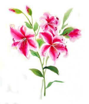 302x351 Ricepaperart Watercolor Paintings On Rice Paper - Watercolor Stargazer Lily