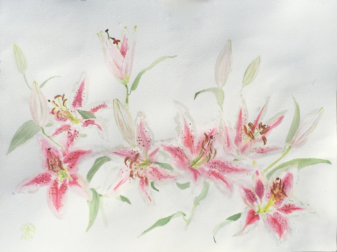 670x501 Stargazer Lilies - Watercolor Stargazer Lily