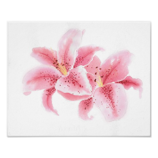 540x540 Stargazer Lilies Watercolor Poster - Watercolor Stargazer Lily