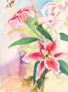 235x319 Stargazer Lily Flowers - Watercolor Stargazer Lily