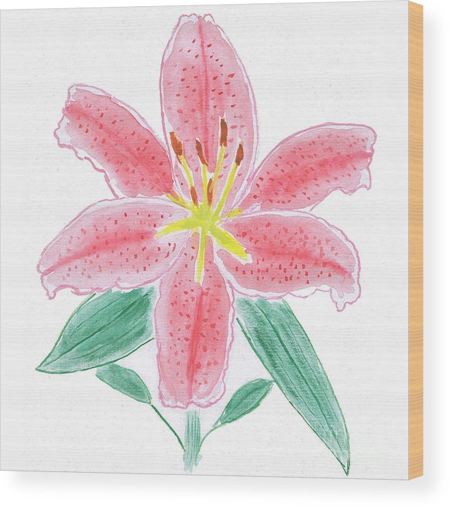 656x740 Stargazer Lily Watercolor Painting Wood Print By Conni Schaftenaar - Watercolor Stargazer Lily