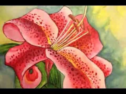 480x360 Stargazer Lily Created In Watercolor - Watercolor Stargazer Lily